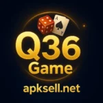 Q36 Game