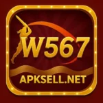 W567 Game