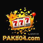 Pak804 Game