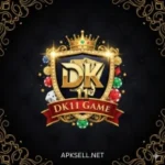 DK11 Game